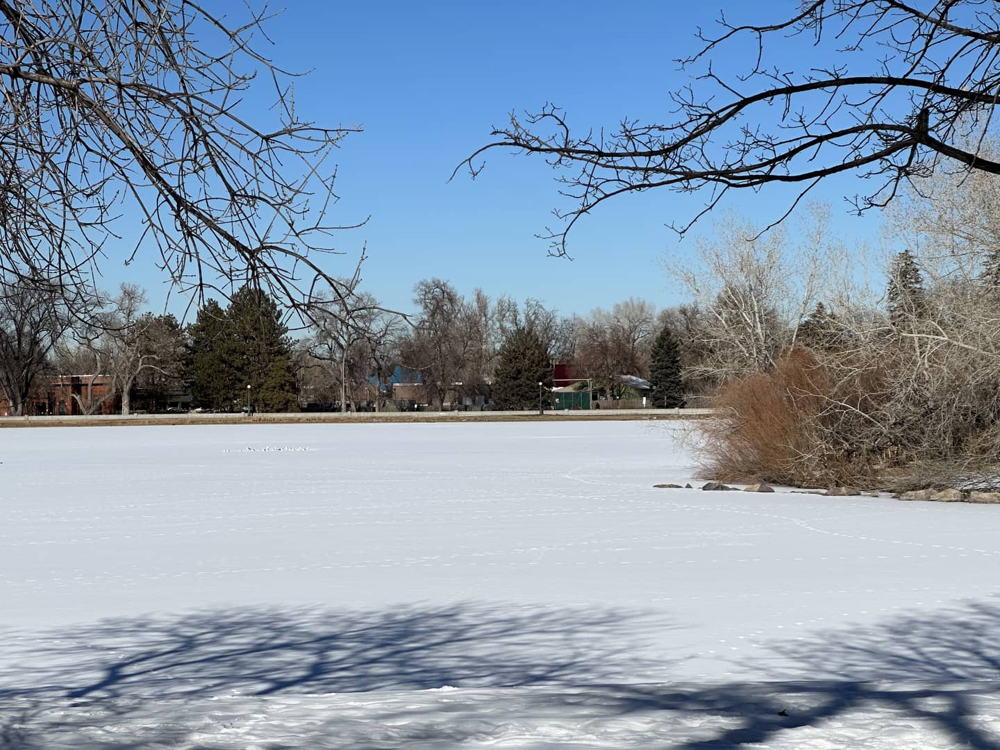 A lake, covered in ice and snow, surrounded in a large number of trees without their leaves due to winter. The sky above is clear and blue; it is a bright and sunny day.